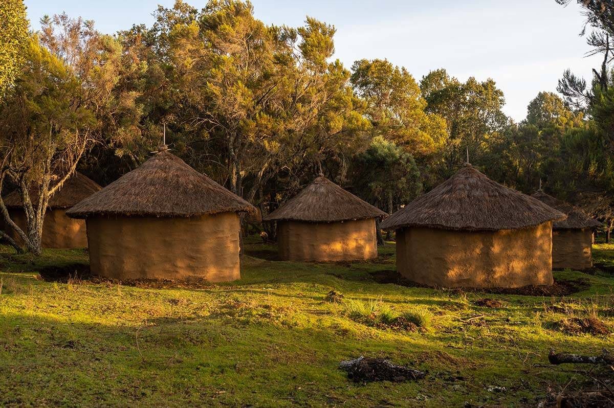 Ogiek of Mt. Elgon community member